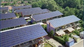 Ninh Thuận: Dự án điện mặt trời kết hợp sản xuất nông nghiệp