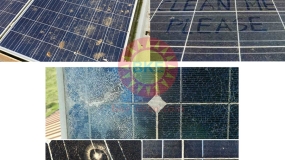 BẢNG TIN SERVICES TUẦN 39