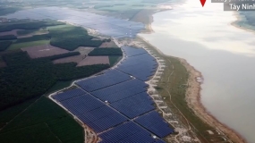 Cánh đồng điện mặt trời hơn 12.000 tỷ đồng ở hồ Dầu Tiếng