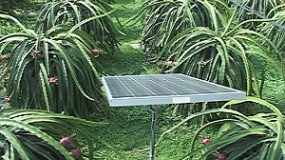 Công nghệ tưới nước bằng năng lượng mặt trời ở Bình Phước và Ninh Thuận