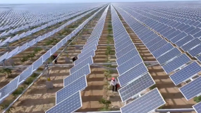 Mô hình điện mặt trời kết hợp với nông trại