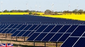 Điện mặt trời tạo ra nhiều việc làm hơn tất cả các nguồn điện nhiên liệu hóa thạch cộng lại